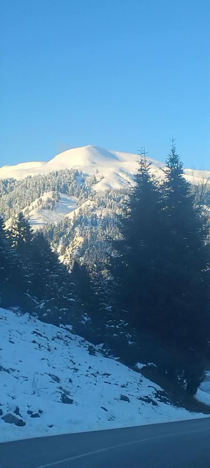 Archontiko Tou Krommyda Elati  Luaran gambar