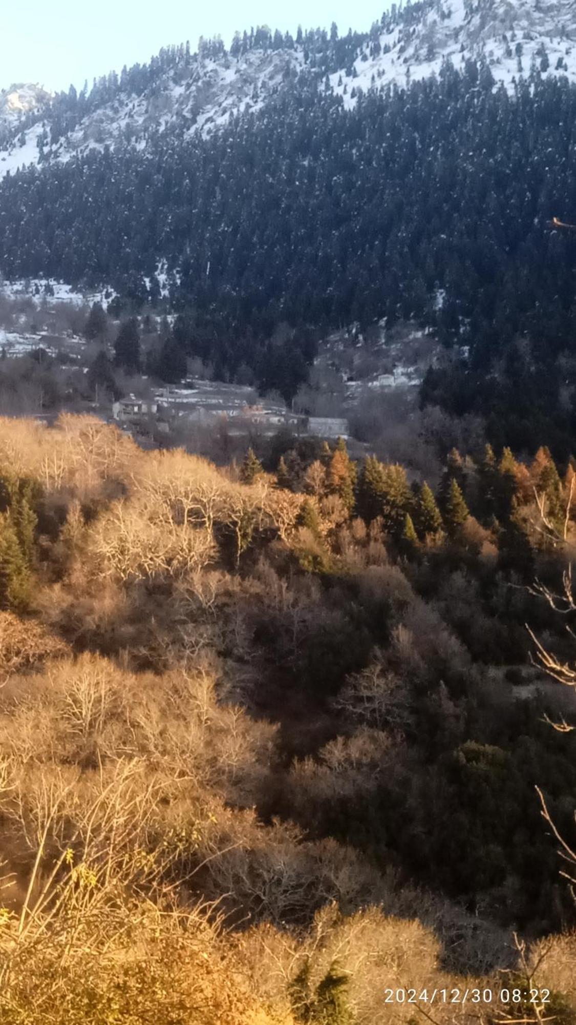 Archontiko Tou Krommyda Elati  Luaran gambar