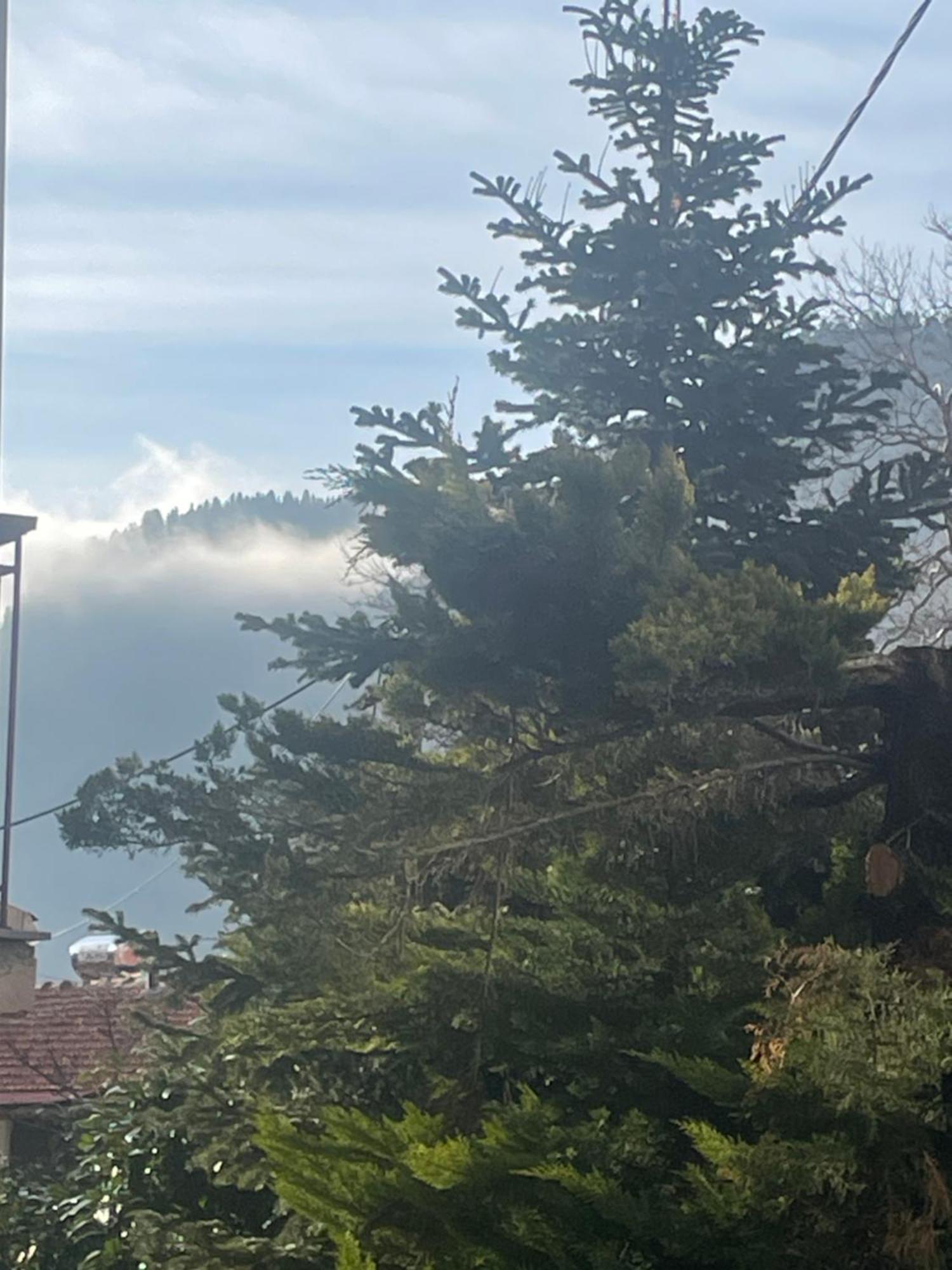 Archontiko Tou Krommyda Elati  Luaran gambar